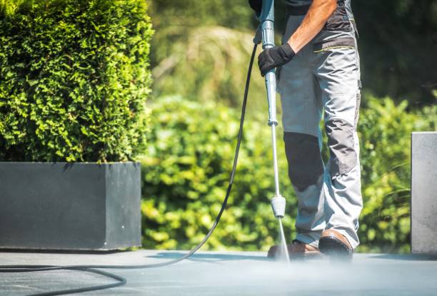 Best Parking Lot and Garage Cleaning  in Dagsboro, DE