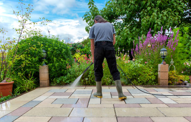 Best Fence Cleaning  in Dagsboro, DE